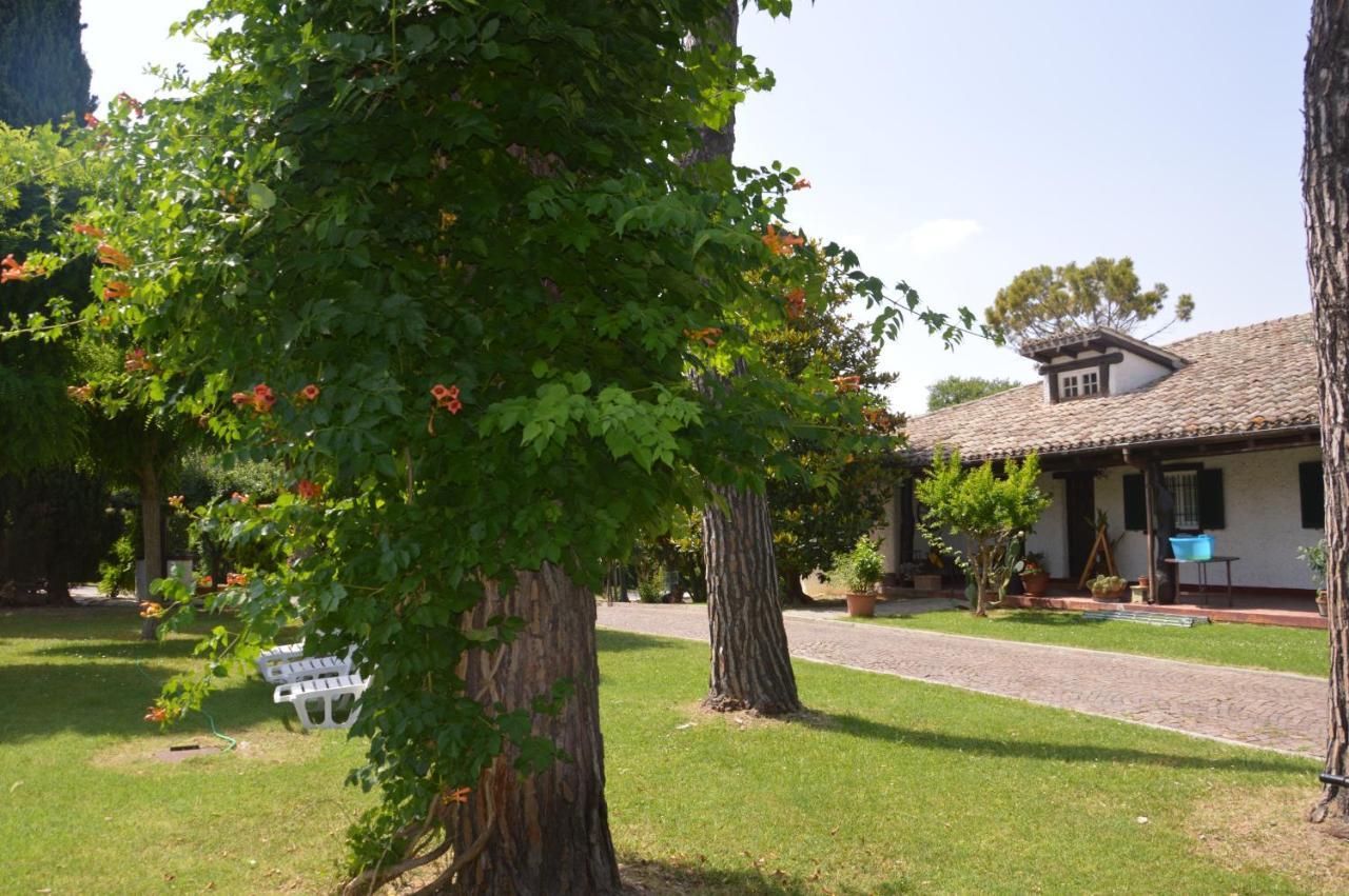 B&B Villa Lupidi Corridonia Exterior foto